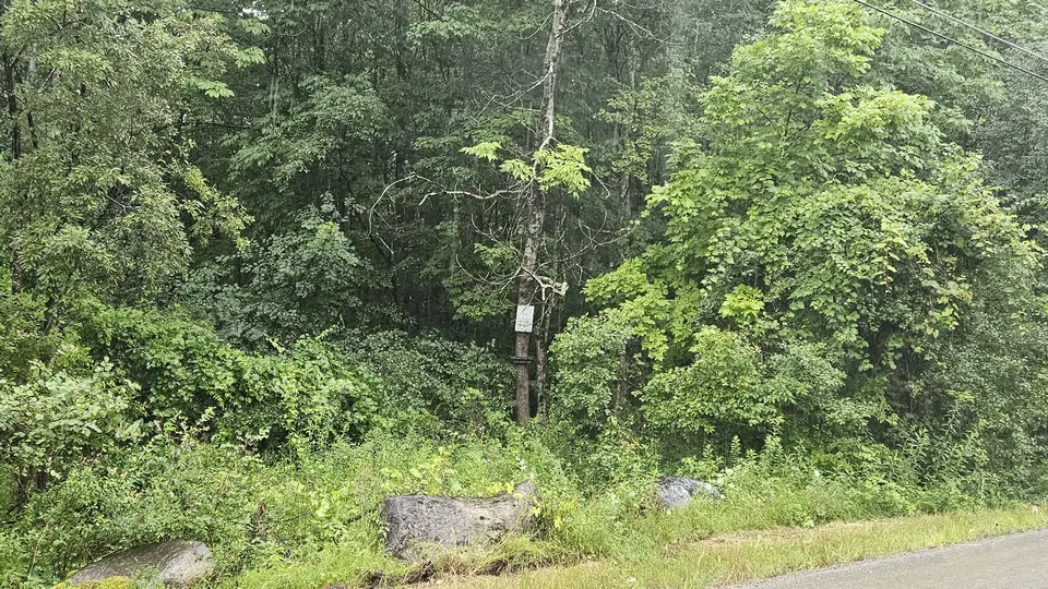 The trailhead, off NW Hill Road, which is a dirt road.