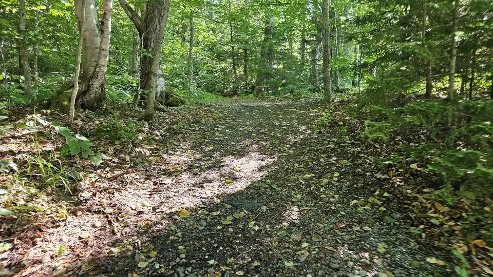 The wide path, going up a short hill, covered in leaves.