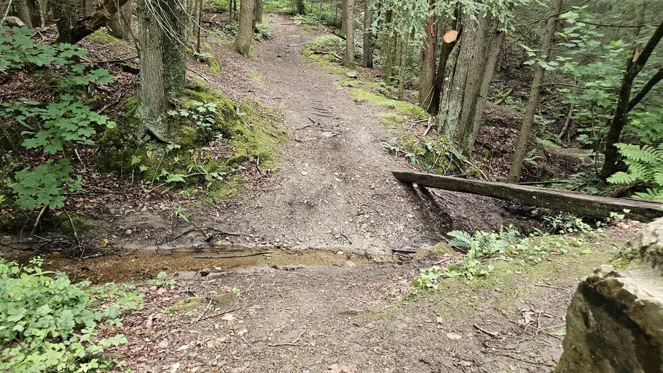 The stream crossing, with 7% slopes on either side. A rundown narrow bridge is seen on the right.