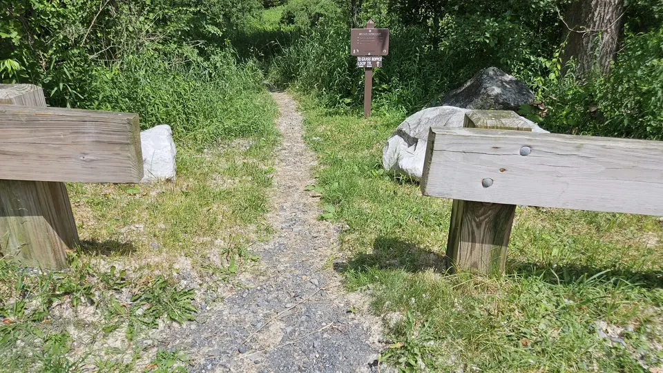 The 48'' gap for the entrance to the shorter loop.