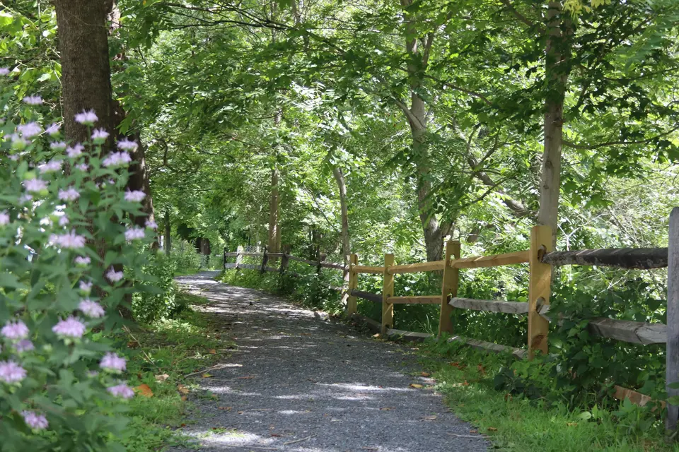 Housatonic Riverwalk - downstream section.