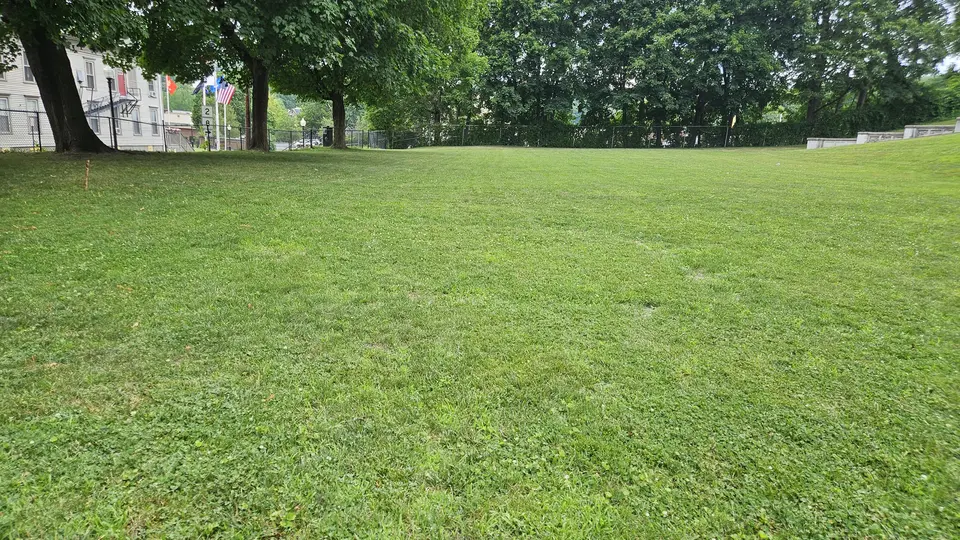 Some small hills in the grass field.