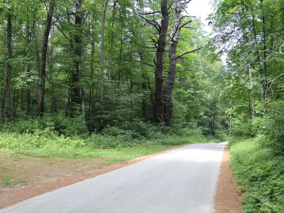 Entrance to access the Corn Warrior site (left) off Hartsville-Mill River Road.