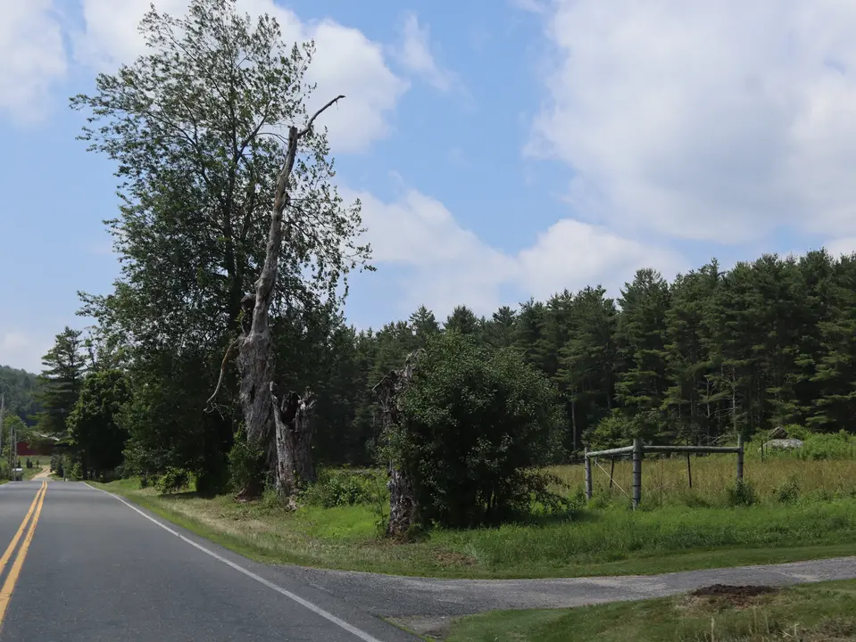 Entrance to the parking area for Diane's Trail, off of Curtis Road.