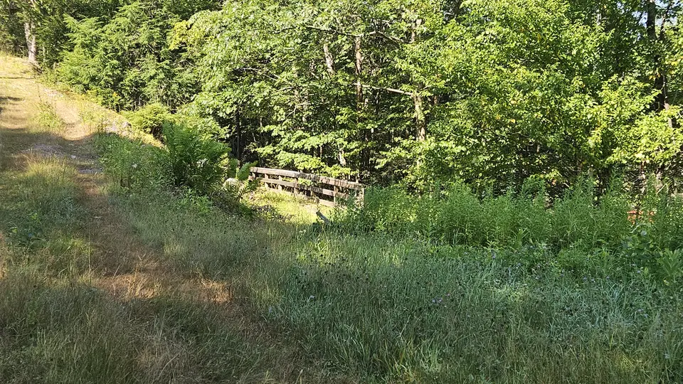 The trail, covered with tall grass and unmaintained.
