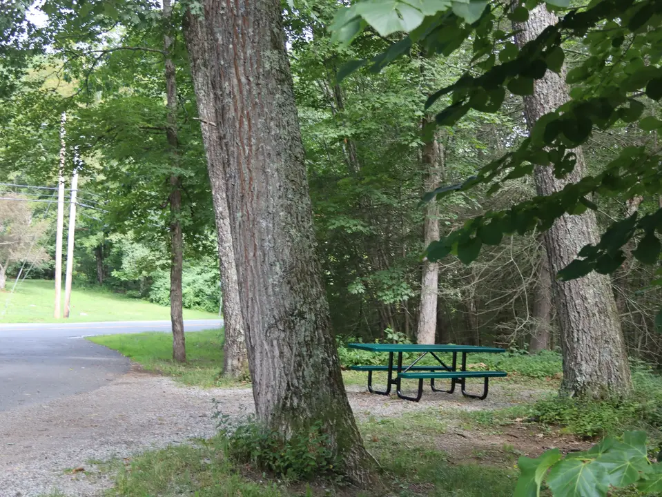 Picnic table sits adjacent to the Farmington River Access parking area.