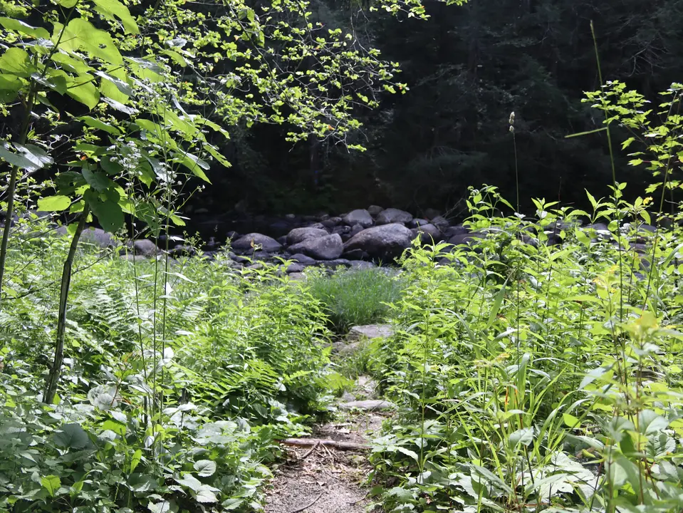 A short, rocky trail leads to the Farmington River.