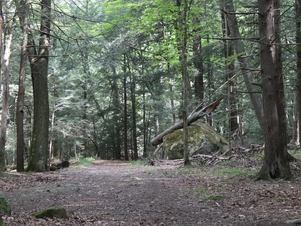 Farmington River Trail.