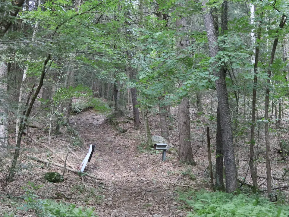 A nearby trail ascends a hill, on the other side of Massachusetts 8 from the parking area.