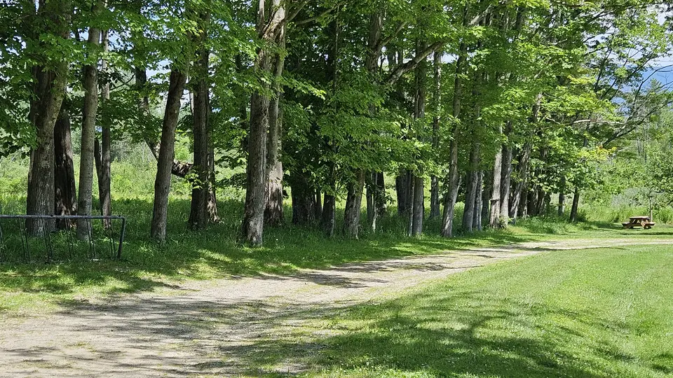 A portion of the dirt and grass trail.