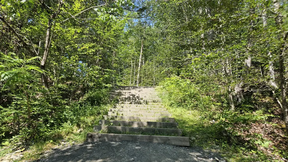 A set of stairs leading down to the water from the parking lot.