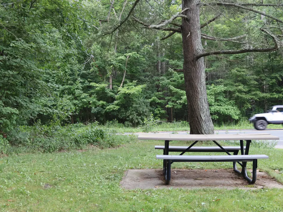 Fountain Pond State Park - North Trailhead in Great Barrington, MA | Berkshires Outside