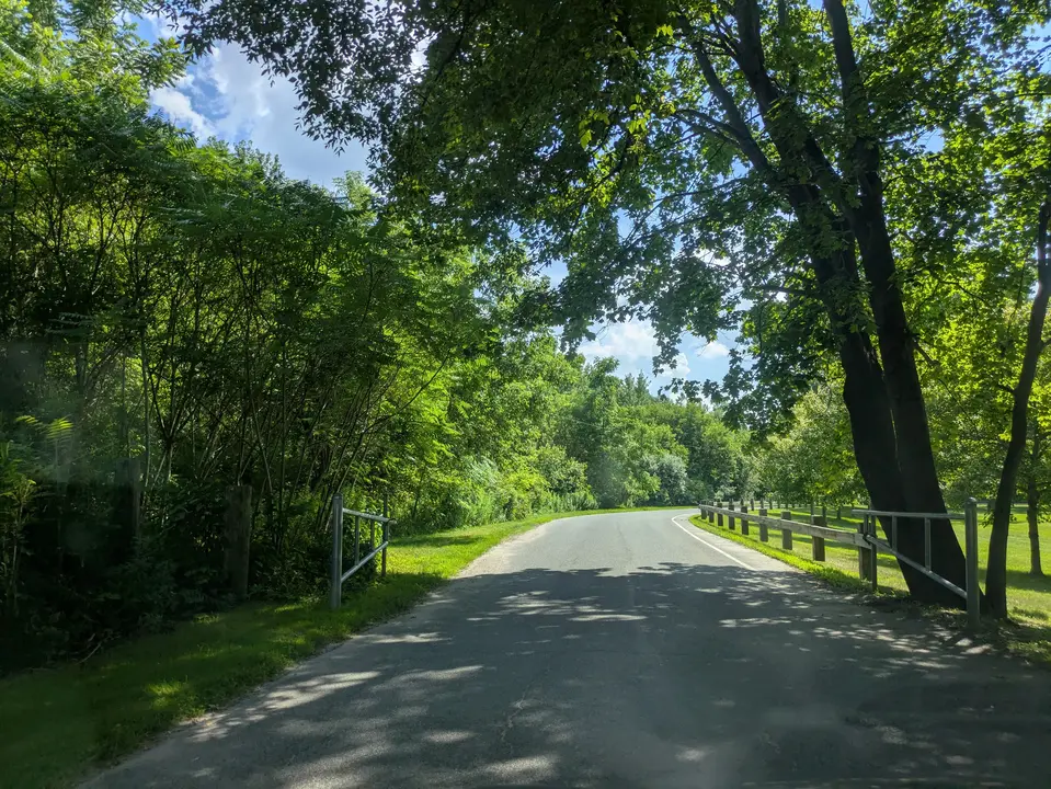 Entrance road to the park