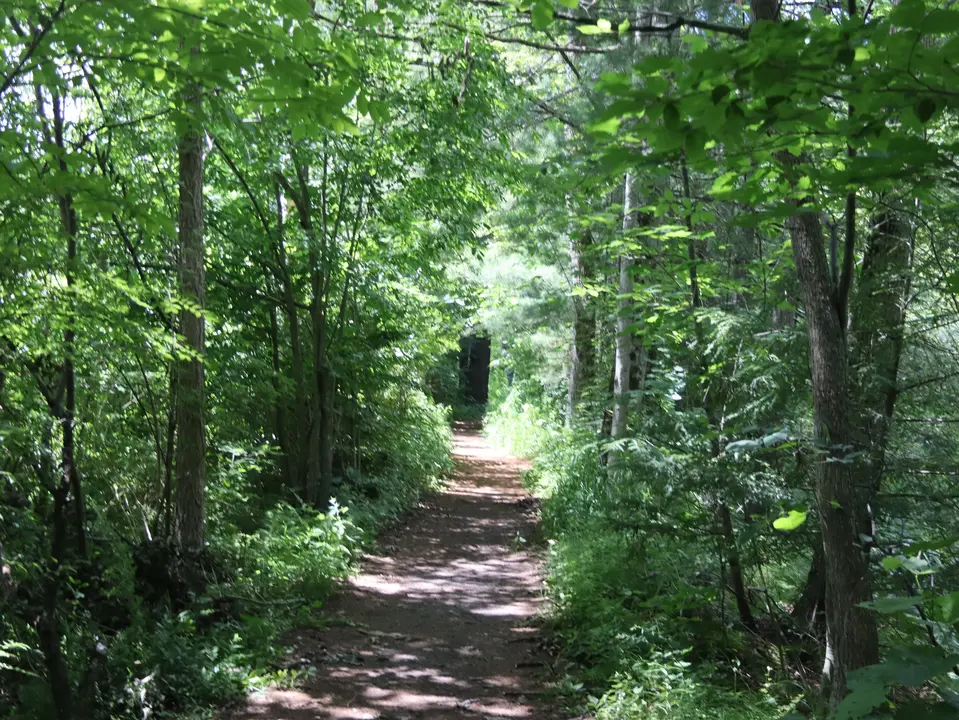 A section of the Mary Flynn accessible trail.