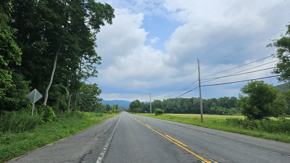 The road running by the WMA.