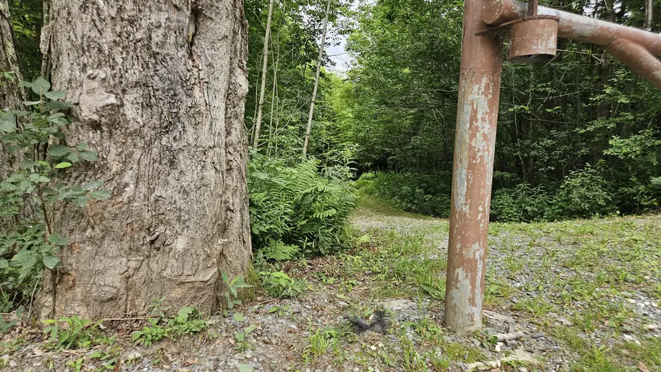 A 3.5' gap between the trailhead fence and a large tree.