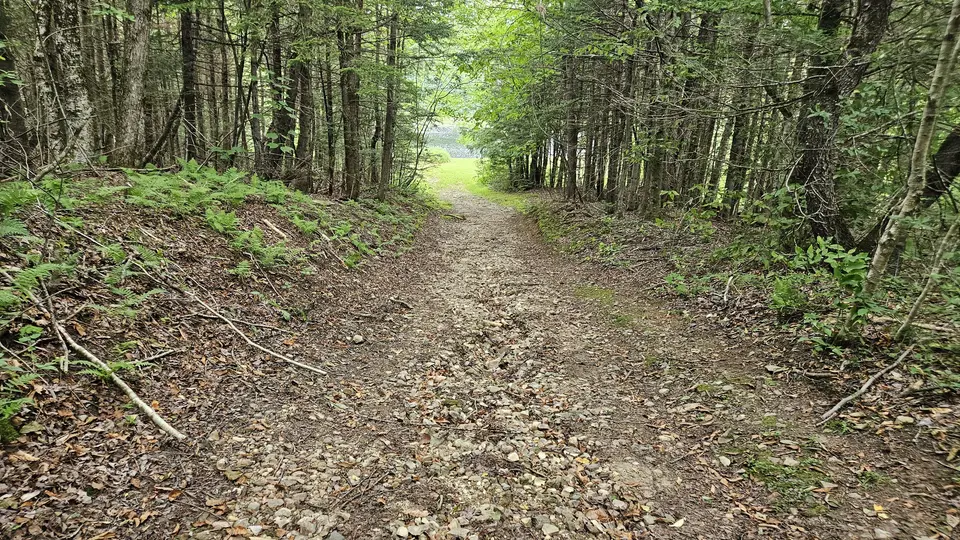 Looking down the sloped path, with loose sticks and stones on the path.