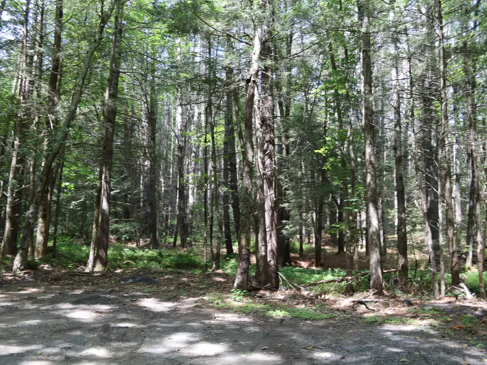 An unofficial parking area located a few hundred feet south of the Hammertown Road entrance to the Clam River Reserve.