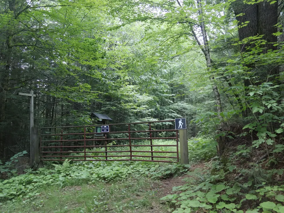 Entrance to the Clam River Reserve from Hammertown Road - South.