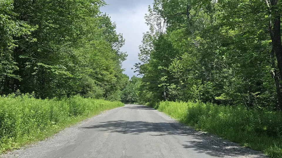 The packed gravel road that runs by the trailhead.