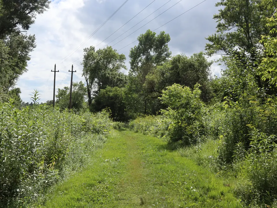 Housatonic Flats Trail, which runs over mowed grass.