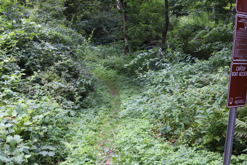 Entrance to the short, grassy access trail that leads to Housatonic River access.