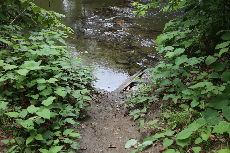 Steep dropoff at the end of the short trail that drops off into the Housatonic River.