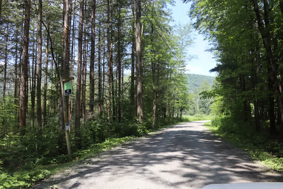 Entrance to the Jackson Pond site (left), off of Old Colonial Road. Parking can be found further down the road in the clearing.