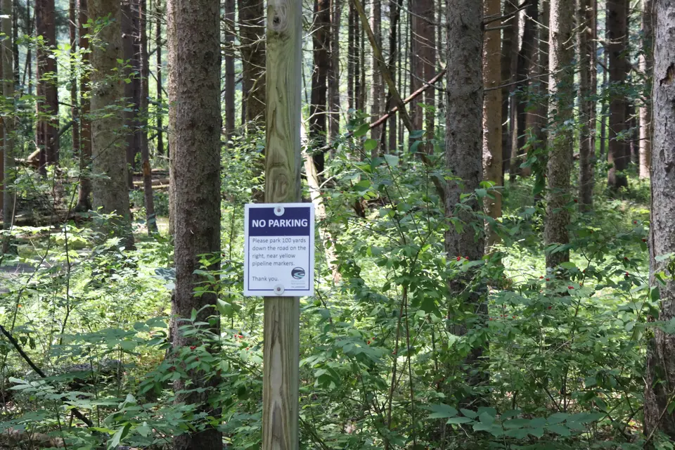 No parking allowed directly adjacent to the park.