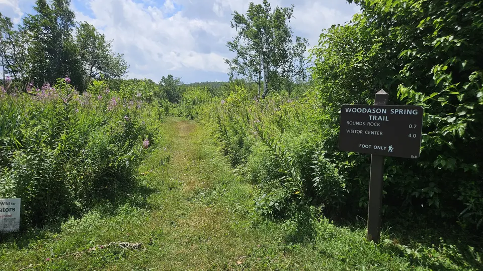 The Woodason Trailhead, that goes through a meadow.