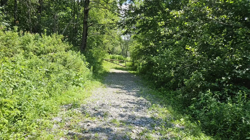 The trail that allows mountain biking, with small gravel, and 5-feet wide.