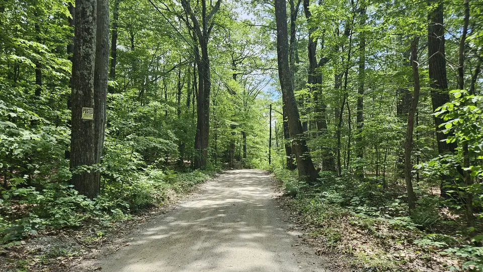 The dirt road leading to the parking area.