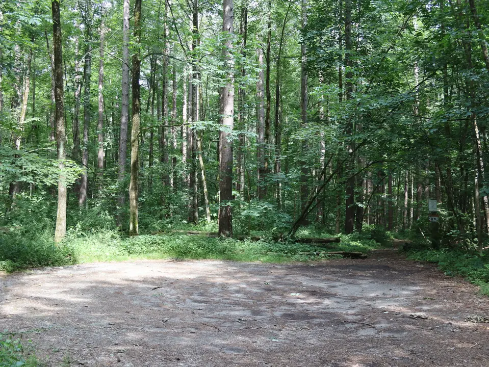 Longcope Property flat, dirt parking area.