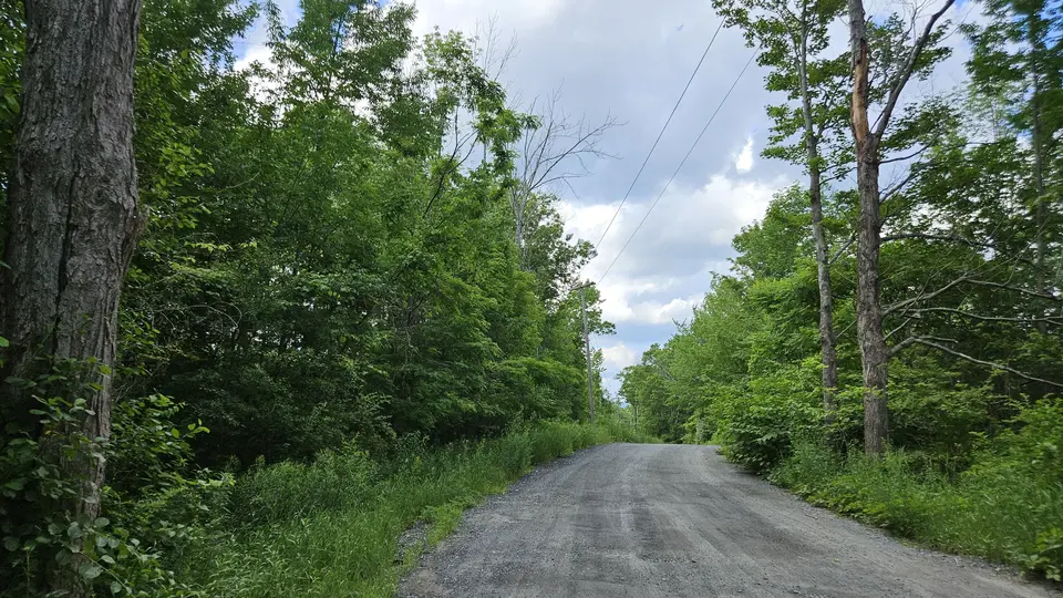 The drive by the parking lot.