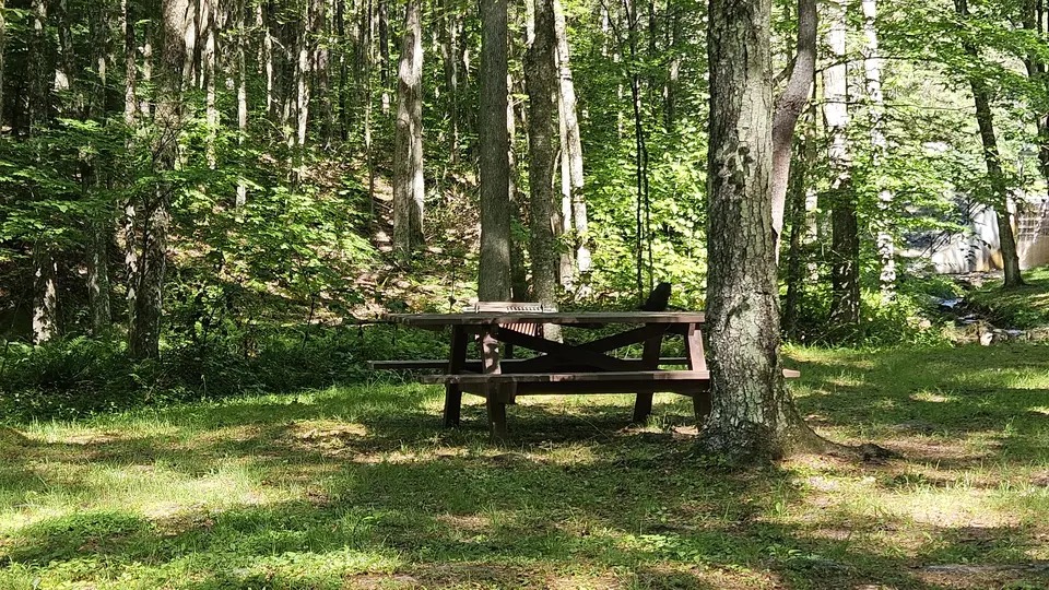 An accessible picnic table in the picnic area.