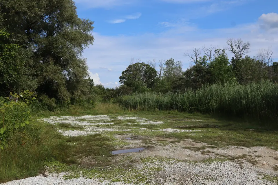 Parking area for the Hop Brook WMA, off Meadow Street.