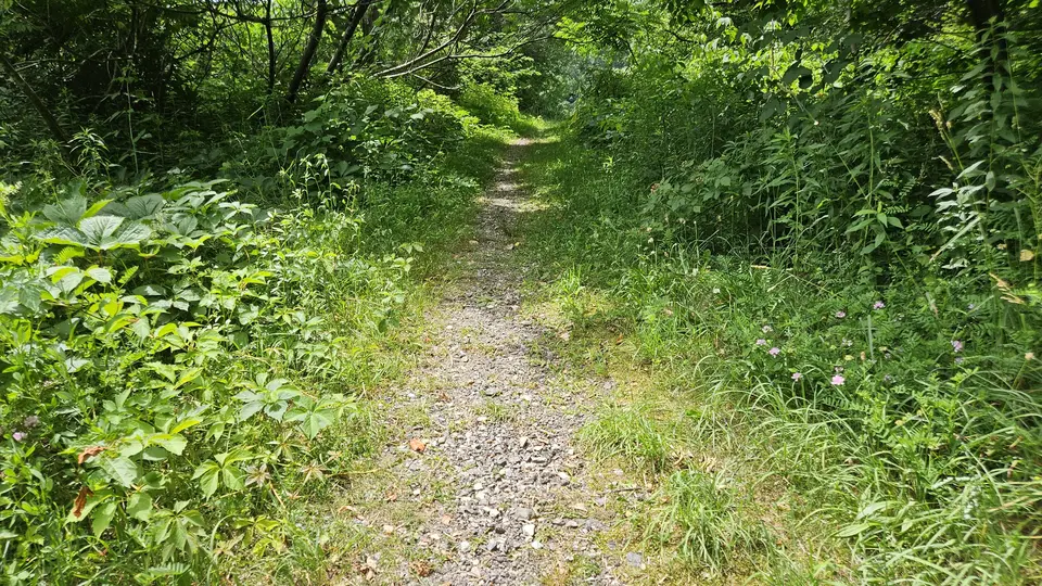 The gravel on the trail.