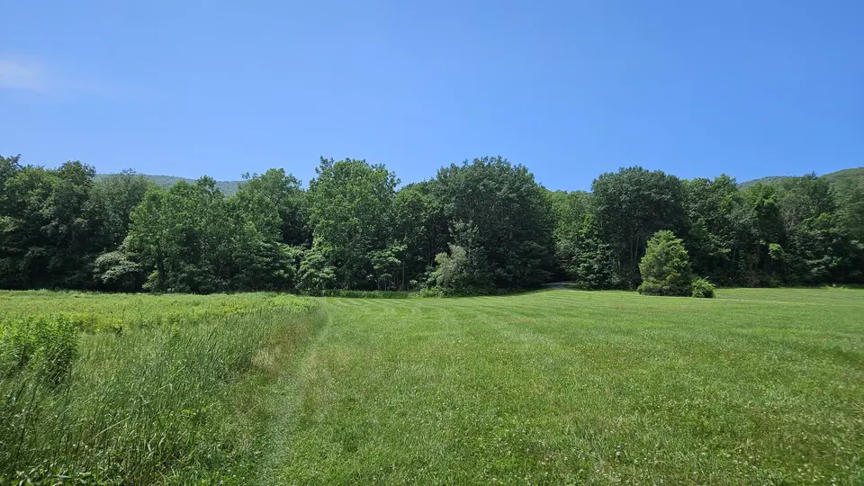 The field that the trail leads into.