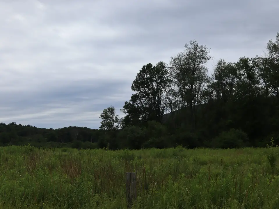 Maple Hill WMA.