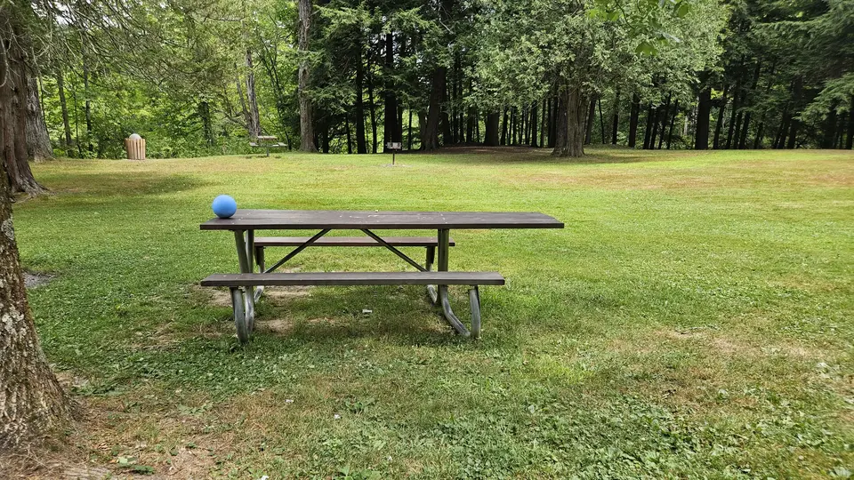 An accessible picnic table in the park.