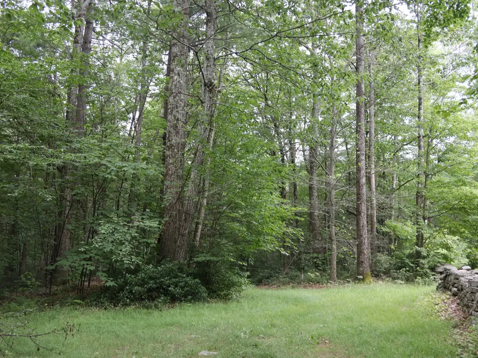 Parking area for the Mount Hunger cobble trail.