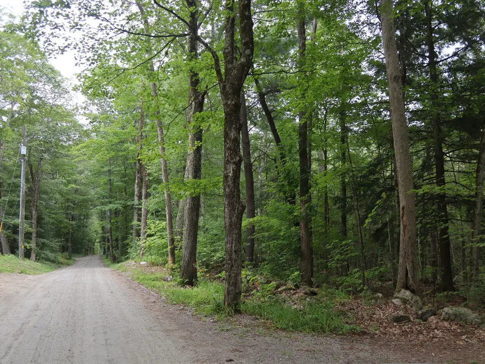 Entrance to the Mount Hunger cobble parking area off Mt Hunger Road.