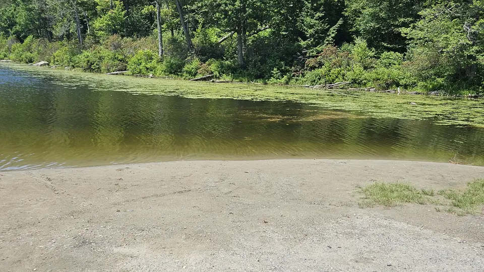 The flat beach connecting to the pond.