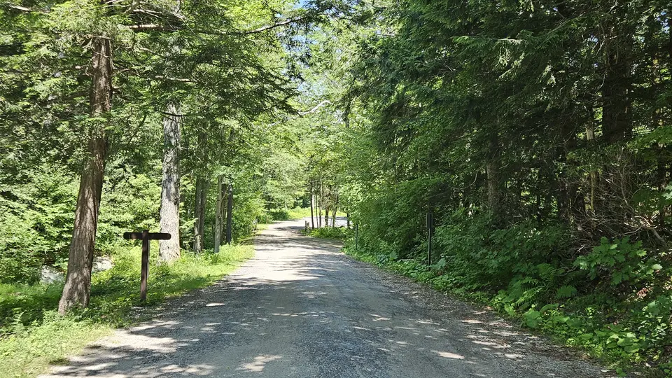 The gravel drive into the North Pond picnic area.