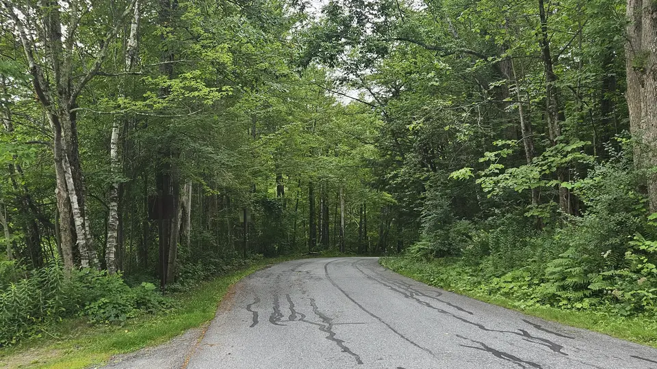 The paved road that leads to the parking lot.