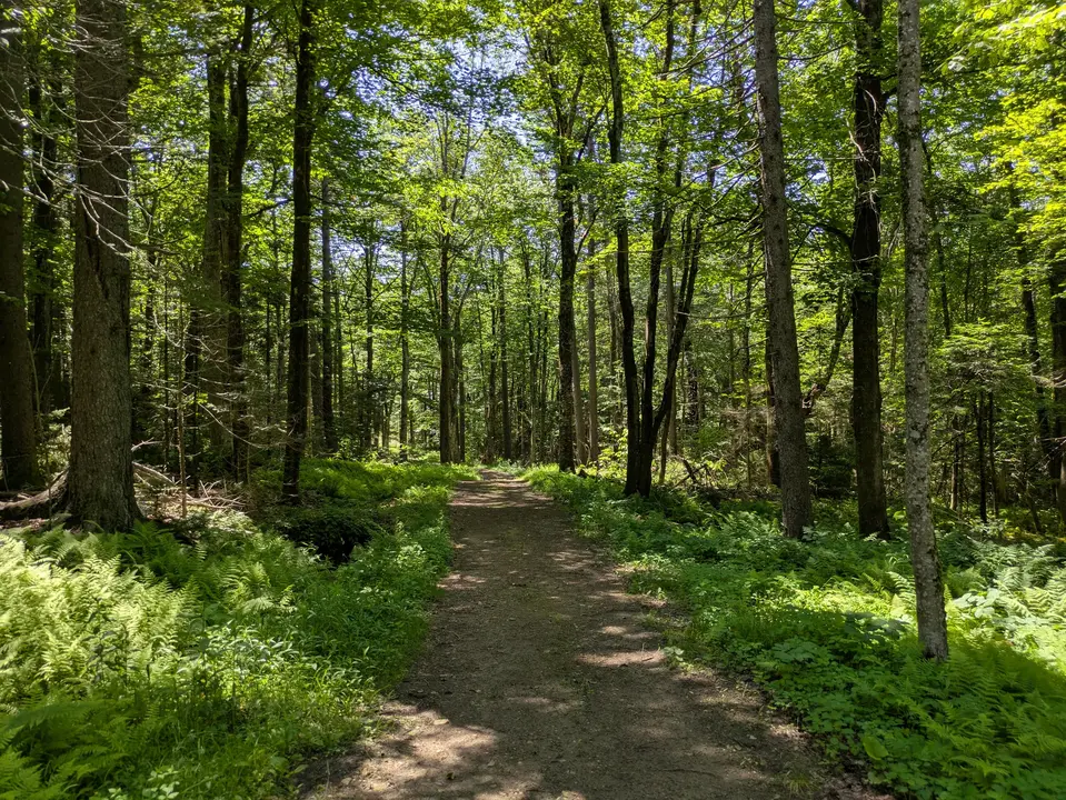 Adaptive equipment accessible trail 