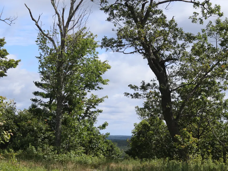View of the Berkshires from the summit of Old Baldy.