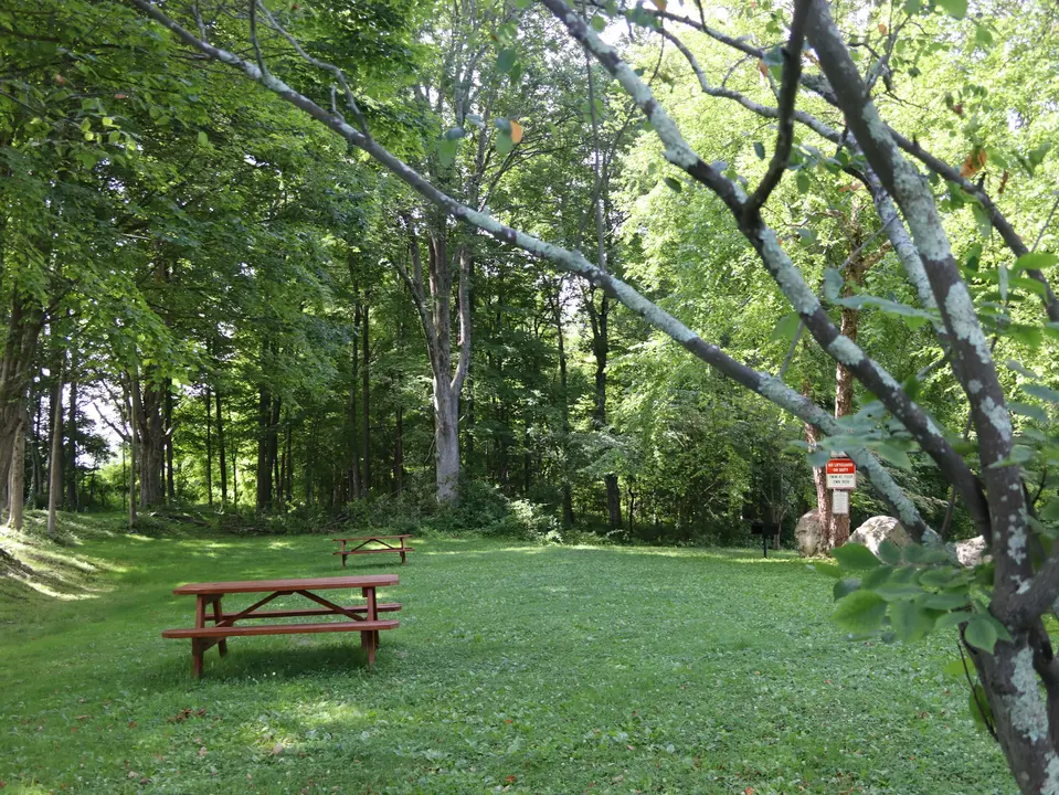 A grassy picnic area in Old Maids Park.