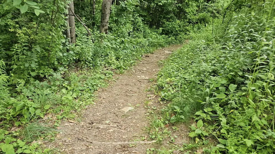 The dirt trail.