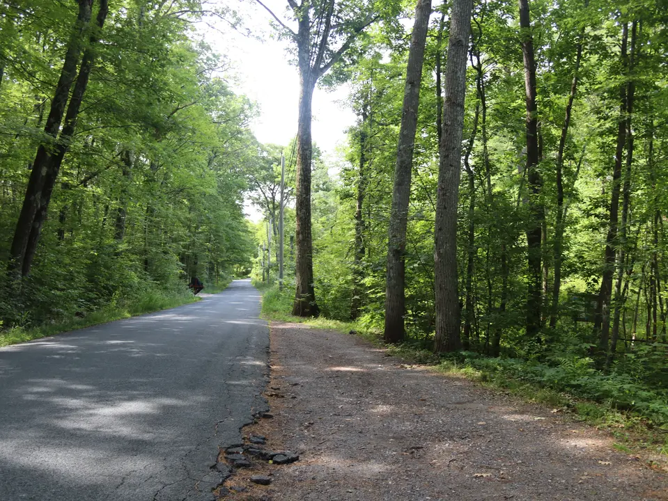 Entrance to the Arboretum off Long Pond Road, a small gravel parking area is featured to the right.